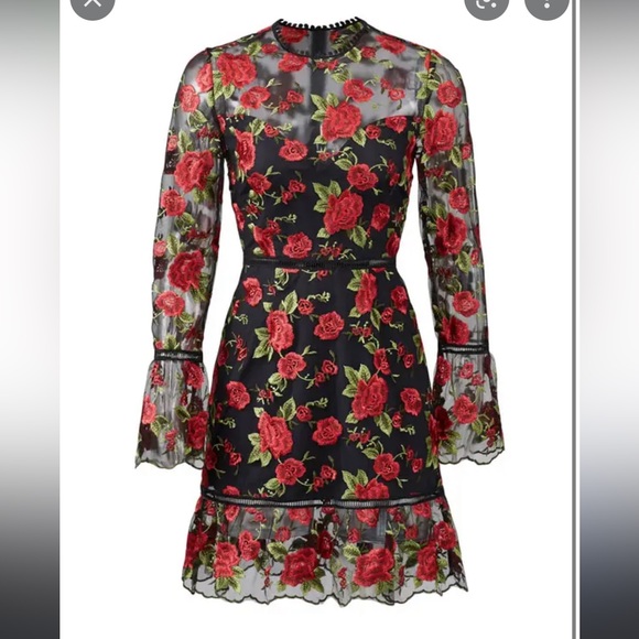 Beautiful rose dress by Saylor NY - Picture 2 of 10